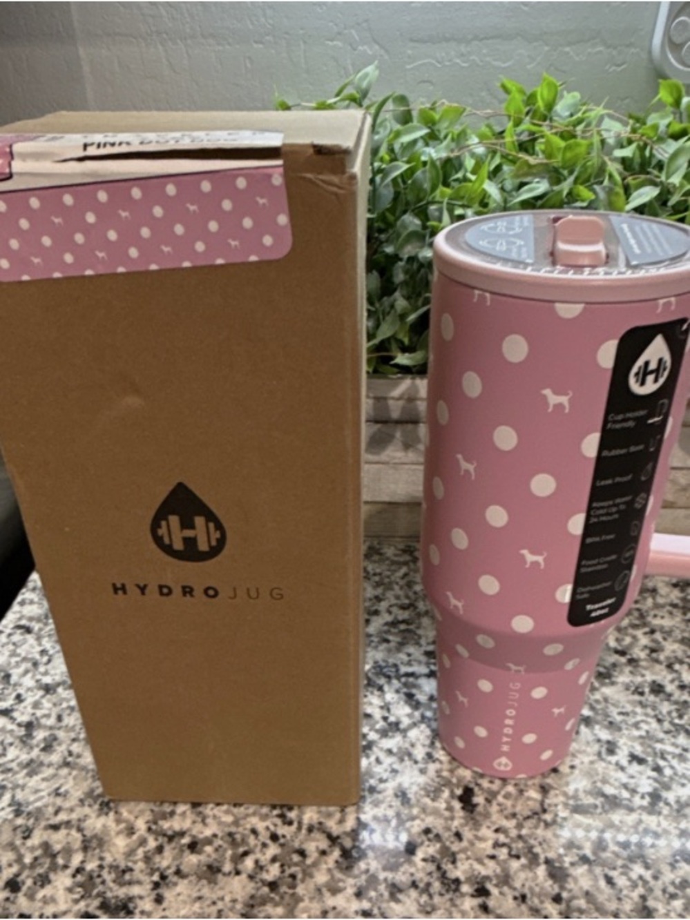 HydroJug Traveler 40 oz Dot Dog Pink